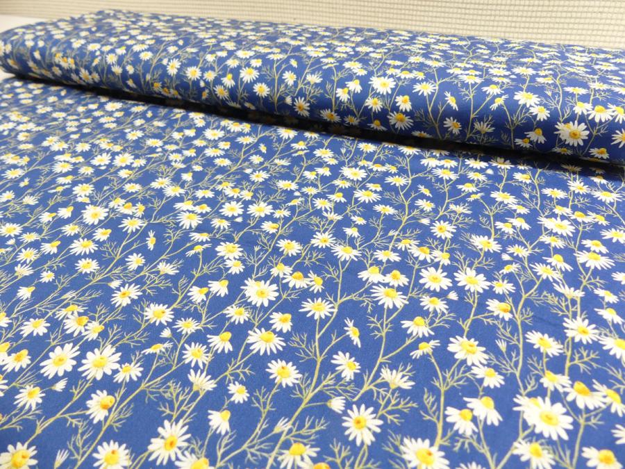 Hedgehog Hollow Blumen Gänseblümchen Daisies blau von In the Beginning